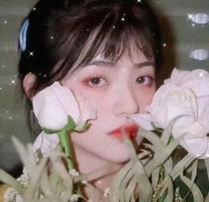 死神少爷与黑女仆